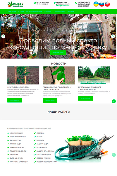 АЛЬКОР С - сайт по продаже саженцев грецкого ореха