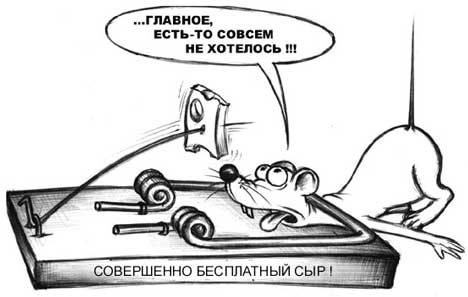 Создать сайт бесплатно или простой развод 